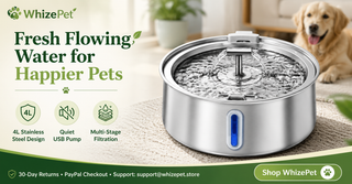 Stainless Steel Pet Water Fountain | WhizePet