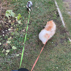 WhizePet™ 3-in-1 Dual Dog Leash – Reflective, Retractable & Lighted