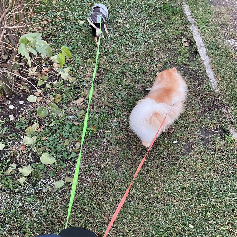 WhizePet™ 3-in-1 Dual Dog Leash – Reflective, Retractable & Lighted