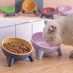 WhizePet™ Nordic Elevated Bowl – Ergonomic & Stylish Dining