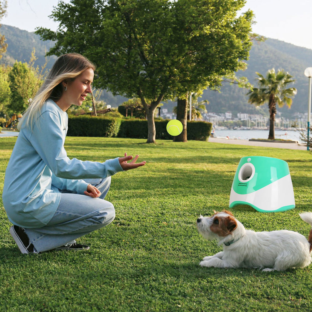 FetchMaster™ Pro – Automatic Interactive Ball Launcher for Dogs (3-5 Day US Delivery)