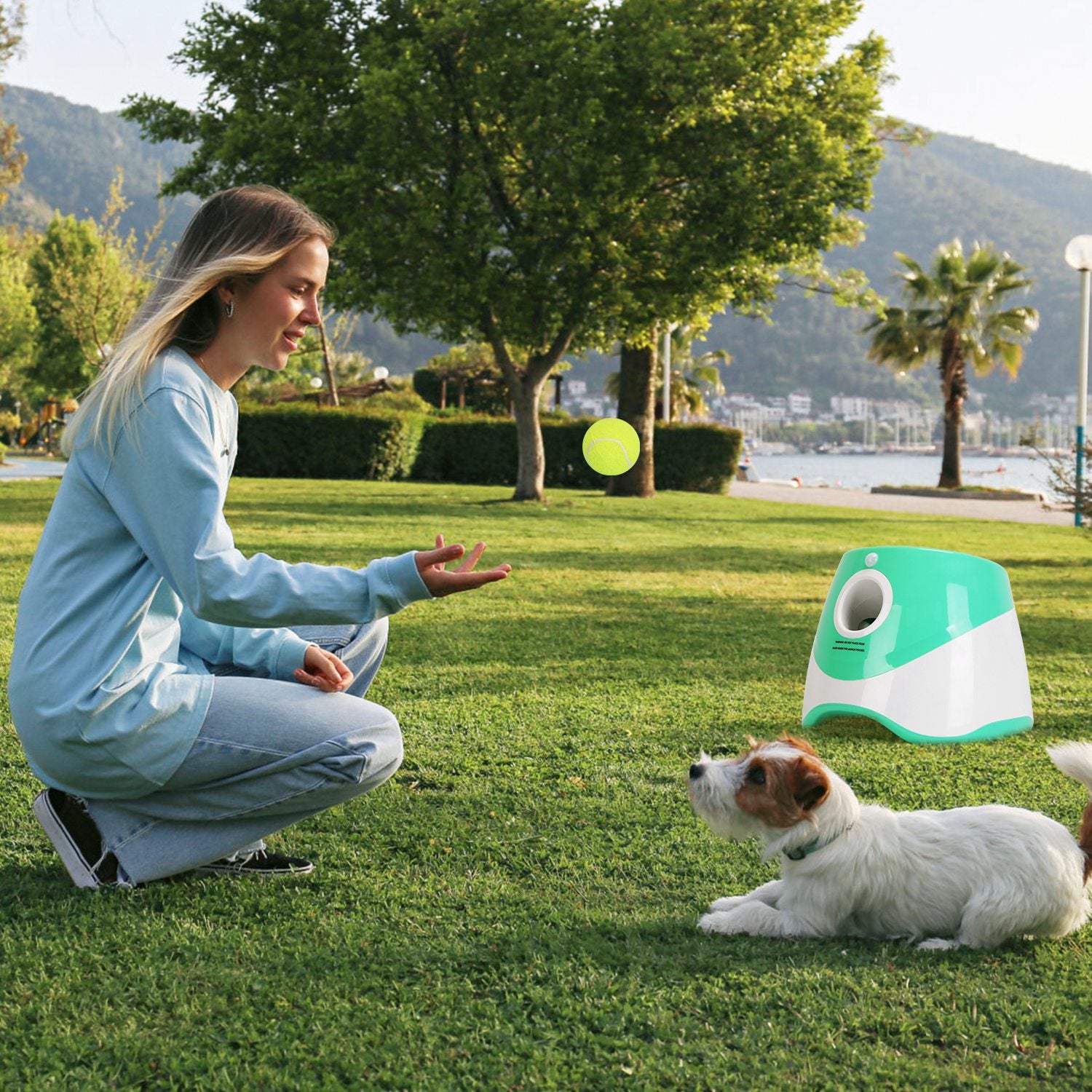 FetchMaster™ Pro – Automatic Interactive Ball Launcher for Dogs (3-5 Day US Delivery)