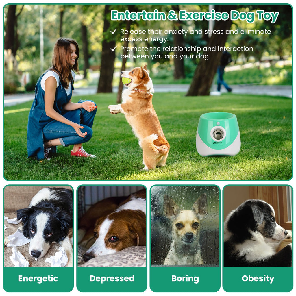FetchMaster™ Pro – Automatic Interactive Ball Launcher for Dogs (3-5 Day US Delivery)