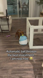 FetchMaster™ Pro – Automatic Interactive Ball Launcher for Dogs (3-5 Day US Delivery)