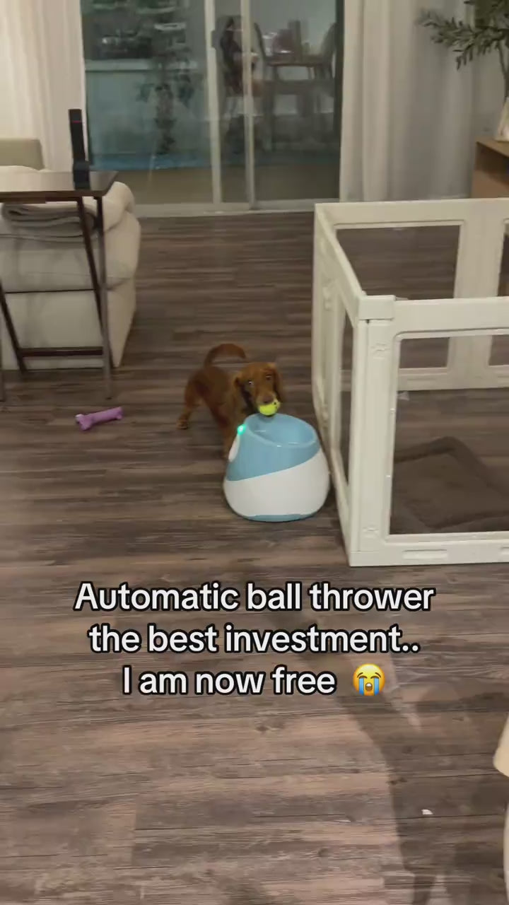 FetchMaster™ Pro – Automatic Interactive Ball Launcher for Dogs (3-5 Day US Delivery)
